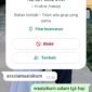 Waspada, Nama Bupati Pidie Jaya Dicatut untuk Penipuan via WhatsApp. Foto: Bukti screenshot